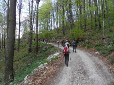 Kliknite za ogled večje slike