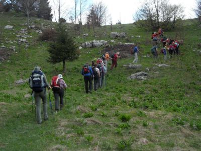 Kliknite za ogled večje slike