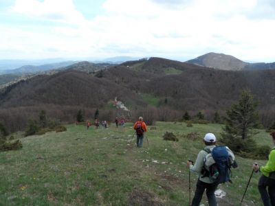 Kliknite za ogled večje slike