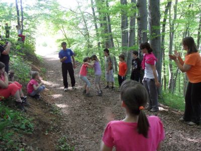 Kliknite za ogled večje slike