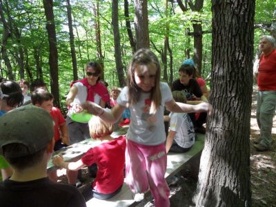 Kliknite za ogled večje slike