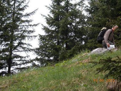 Kliknite za ogled večje slike