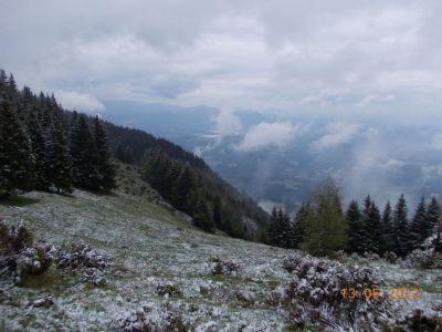 Kliknite za ogled večje slike