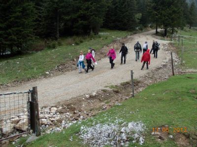 Kliknite za ogled večje slike