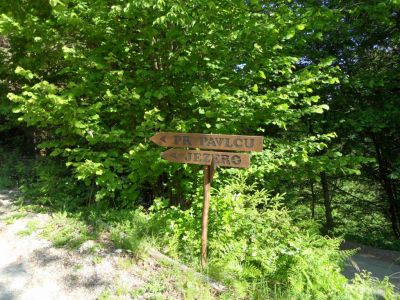 Kliknite za ogled večje slike