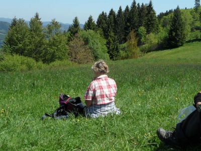 Kliknite za ogled večje slike