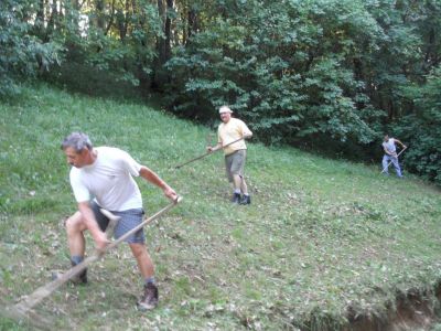 Kliknite za ogled večje slike