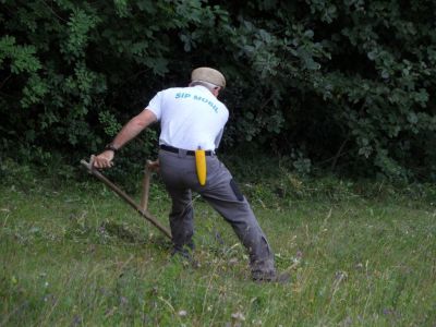 Kliknite za ogled večje slike