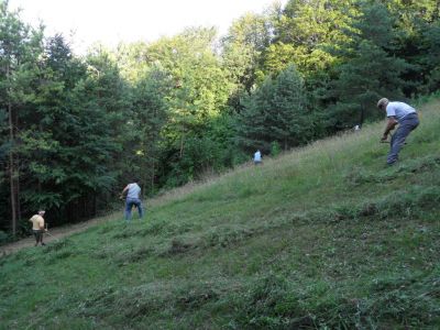Kliknite za ogled večje slike