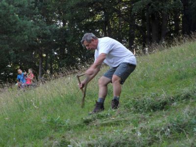 Kliknite za ogled večje slike