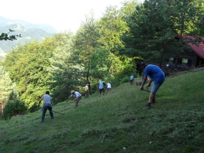 Kliknite za ogled večje slike