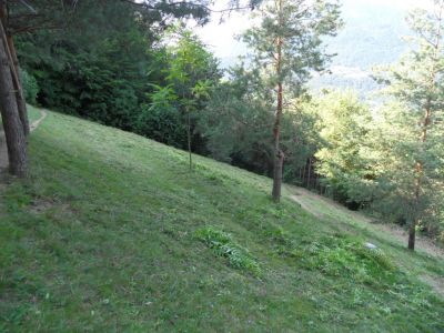 Kliknite za ogled večje slike