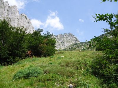 Kliknite za ogled večje slike