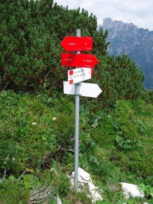 Kliknite za ogled večje slike