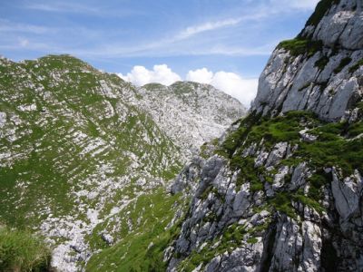 Kliknite za ogled večje slike