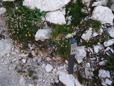 Kliknite za ogled večje slike