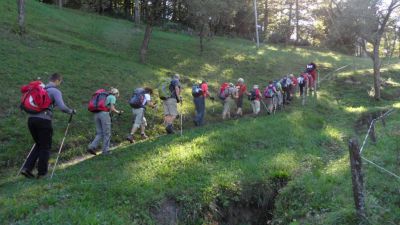 Kliknite za ogled večje slike