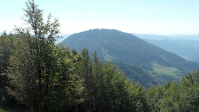 Kliknite za ogled večje slike