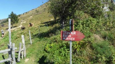 Kliknite za ogled večje slike