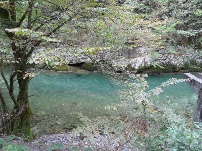 Kliknite za ogled večje slike