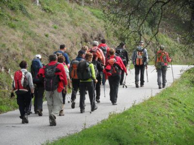 Kliknite za ogled večje slike