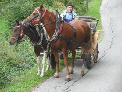 Kliknite za ogled večje slike