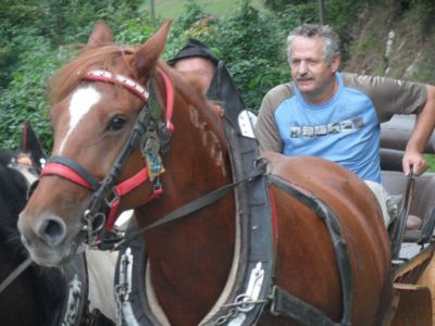 Kliknite za ogled večje slike