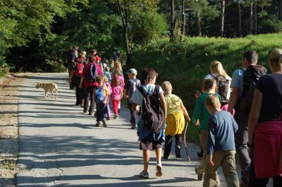 Kliknite za ogled večje slike