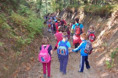 Kliknite za ogled večje slike