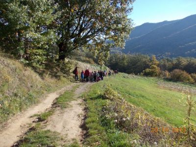 Kliknite za ogled večje slike