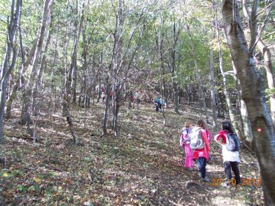 Kliknite za ogled večje slike