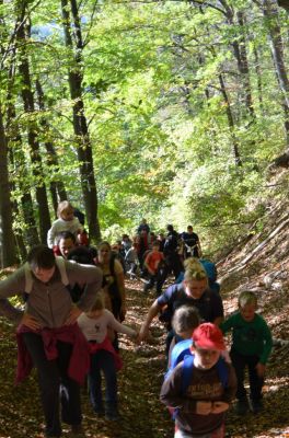 Kliknite za ogled večje slike