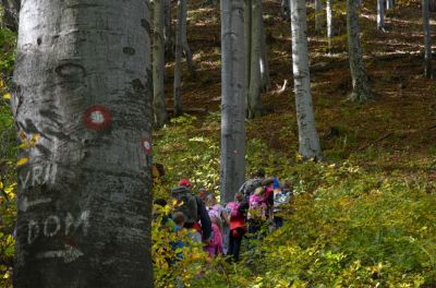 Kliknite za ogled večje slike