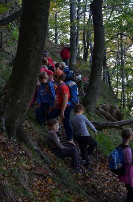 Kliknite za ogled večje slike