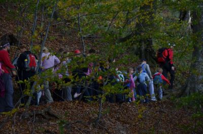 Kliknite za ogled večje slike