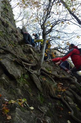 Kliknite za ogled večje slike