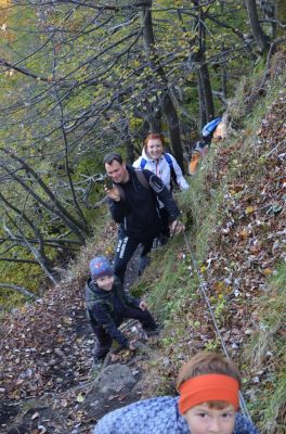 Kliknite za ogled večje slike