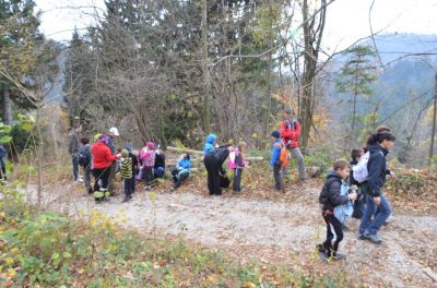 Kliknite za ogled večje slike