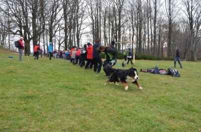 Kliknite za ogled večje slike