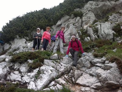 Kliknite za ogled večje slike