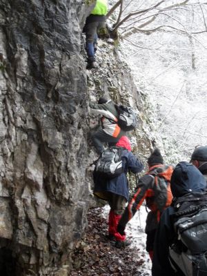 Kliknite za ogled večje slike