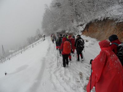 Kliknite za ogled večje slike
