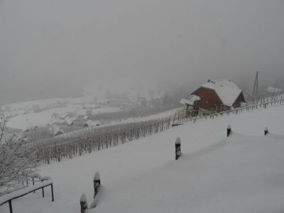 Kliknite za ogled večje slike