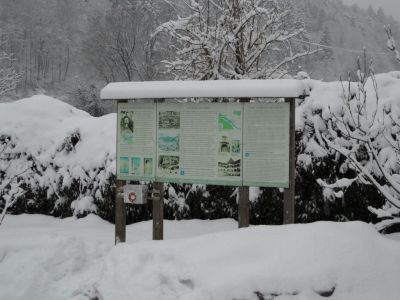 Kliknite za ogled večje slike