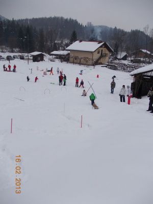 Kliknite za ogled večje slike