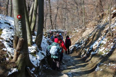 Kliknite za ogled večje slike