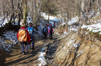 Kliknite za ogled večje slike