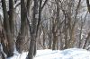 DSC_0145.JPG