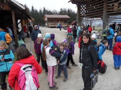 Kliknite za ogled večje slike