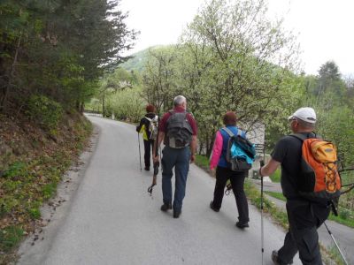 Kliknite za ogled večje slike